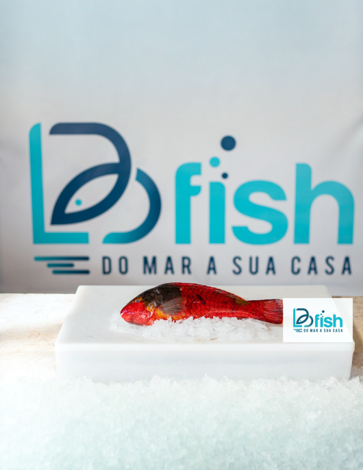 Bodião / Veja