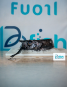Peixe Espada Preto