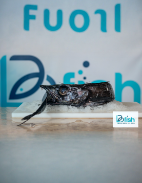 Peixe Espada Preto