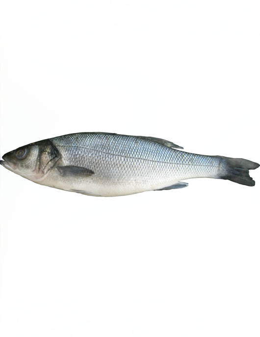 Robalo